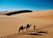 move_to_mauritania